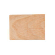 Jenny Holzer Lack of Charisma wooden postcard